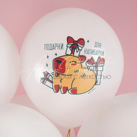 Воздушные шары "Капибара"